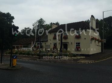 Major Plants Ltd - Our Customers - London - UK - Image 27