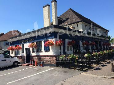 Major Plants Ltd - Our Customers - London - UK - Image 37