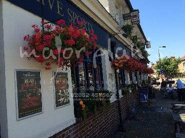 Major Plants Ltd - Our Customers - London - UK - Image 38