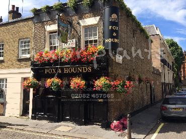 Major Plants Ltd - Our Customers - London - UK - Image 39