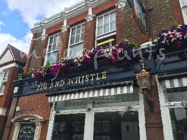 Major Plants Ltd - Our Customers - London - UK - Image 49