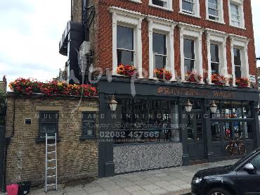 Major Plants Ltd - Our Customers - London - UK - Image 53