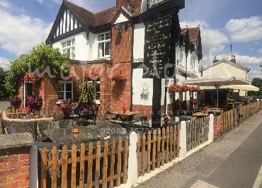 Major Plants Ltd - Our Customers - London - UK - Image 61