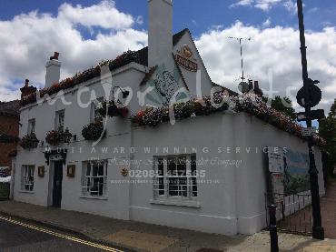 Major Plants Ltd - Our Customers - London - UK - Image 64