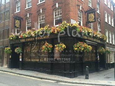 Major Plants Ltd - Our Customers - London - UK - Image 71