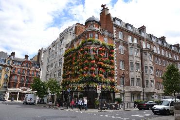 Major Plants Ltd - Our Customers - London - UK - Image 88