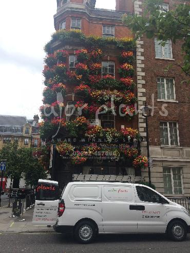 Major Plants Ltd - Our Customers - London - UK - Image 98