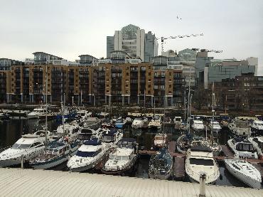 Major Plants Ltd - Penthouse - London - UK - Image 