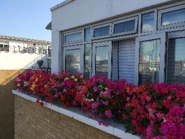 Major Plants Ltd - Penthouse - London - UK - Image 6