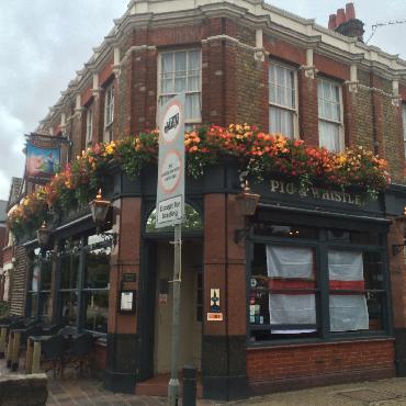 Major Plants Ltd - Pig and Whistle - London - UK - Image 6