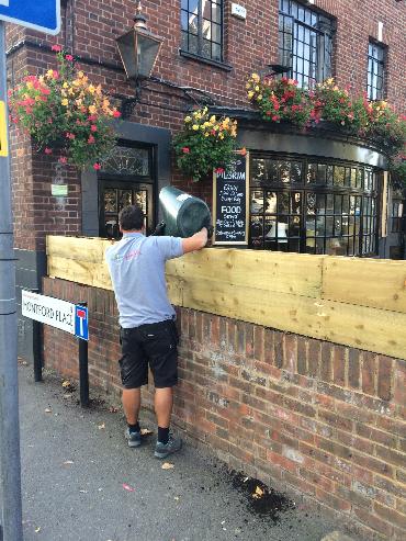 Major Plants Ltd - Pilgrim - London - UK - Image 