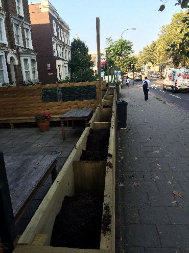 Major Plants Ltd - Pilgrim - London - UK - Image 1