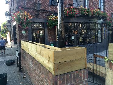 Major Plants Ltd - Pilgrim - London - UK - Image 3