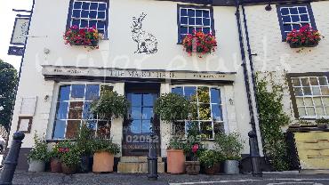 Major Plants Ltd - Pots and Troughs - London - UK - Image 12