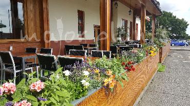 Major Plants Ltd - Pots and Troughs - London - UK - Image 16