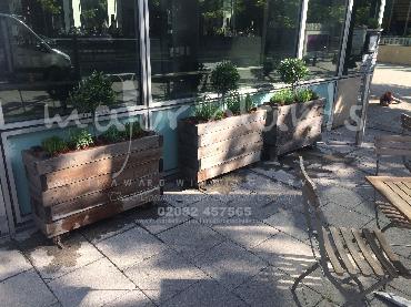 Major Plants Ltd - Pots and Troughs - London - UK - Image 18