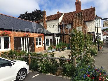 Major Plants Ltd - Pots and Troughs - London - UK - Image 26