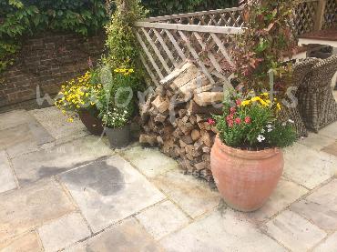 Major Plants Ltd - Pots and Troughs - London - UK - Image 31