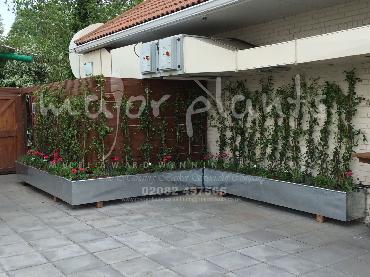 Major Plants Ltd - Pots and Troughs - London - UK - Image 45