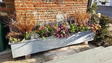Major Plants Ltd - Pots and Troughs - London - UK - Image 53