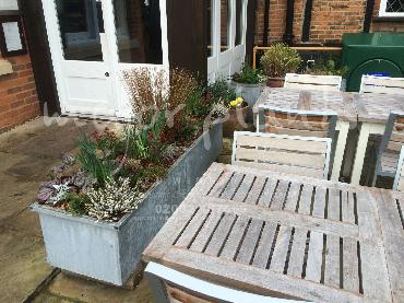 Major Plants Ltd - Pots and Troughs - London - UK - Image 64