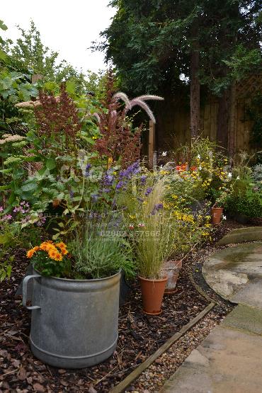 Major Plants Ltd - Pots and Troughs - London - UK - Image 84