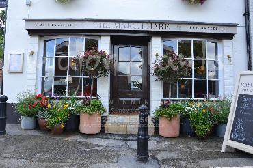 Major Plants Ltd - Pots and Troughs - London - UK - Image 87