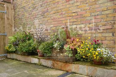Major Plants Ltd - Pots and Troughs - London - UK - Image 94