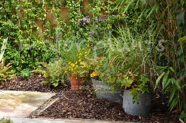 Major Plants Ltd - Pots and Troughs - London - UK - Image 95