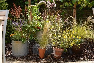 Major Plants Ltd - Pots and Troughs - London - UK - Image 100