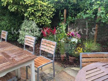 Major Plants Ltd - Pots and Troughs - London - UK - Image 120