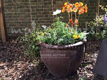Major Plants Ltd - Pots and Troughs - London - UK - Image 132