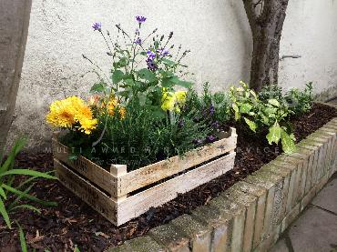 Major Plants Ltd - Pots and Troughs - London - UK - Image 140