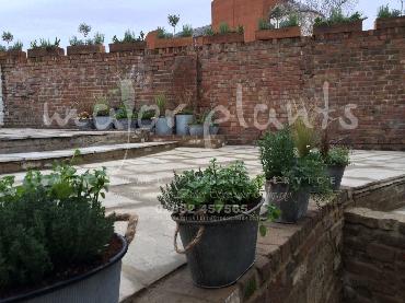 Major Plants Ltd - Pots and Troughs - London - UK - Image 144