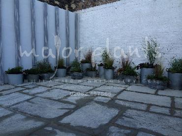 Major Plants Ltd - Pots and Troughs - London - UK - Image 147