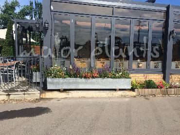 Major Plants Ltd - Pots and Troughs - London - UK - Image 163