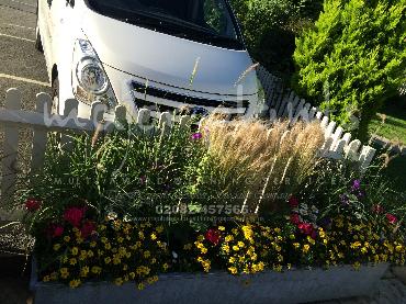 Major Plants Ltd - Pots and Troughs - London - UK - Image 164