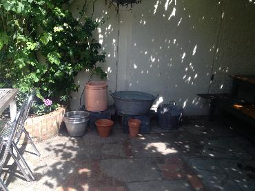 Major Plants Ltd - Pots at Kings Head - London - UK - Image 