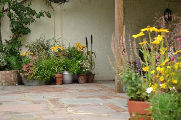 Major Plants Ltd - Pots at Kings Head - London - UK - Image 3