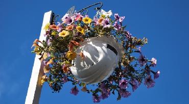 Major Plants Ltd - Volker and Fitzpatrick - London - UK - Image 2