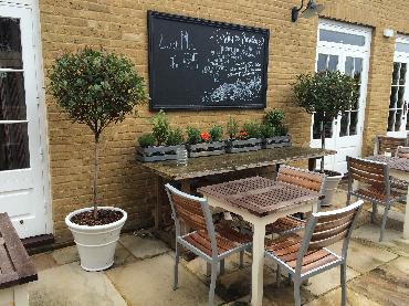 Major Plants Ltd - WBC British Queen - London - UK - Image 2