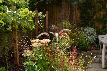 Major Plants Ltd - WBC British Queen - London - UK - Image 4