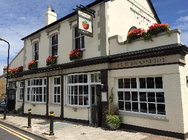 Major Plants Ltd - WBC British Queen - London - UK - Image 9