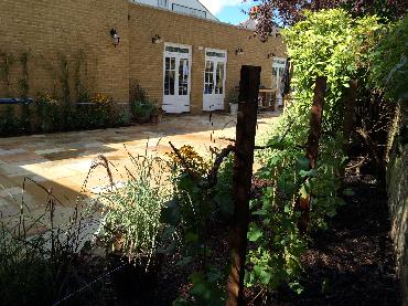 Major Plants Ltd - WBC British Queen - London - UK - Image 18