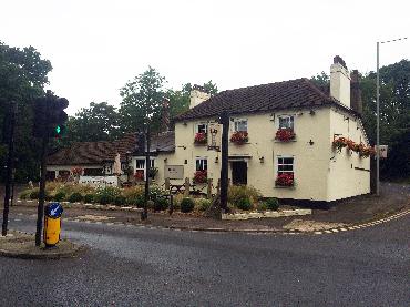 Major Plants Ltd - WBC The Hare - London - UK - Image 1