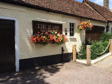 Major Plants Ltd - WBC The Hare - London - UK - Image 3