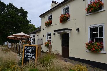 Major Plants Ltd - WBC The Hare - London - UK - Image 5