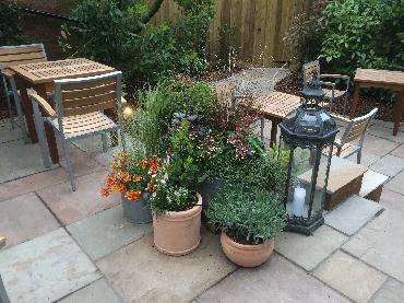 Major Plants Ltd - WBC The Victoria - London - UK - Image 42