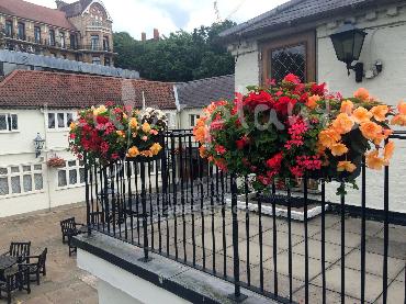 Major Plants Ltd - Window Boxes - London - UK - Image 3