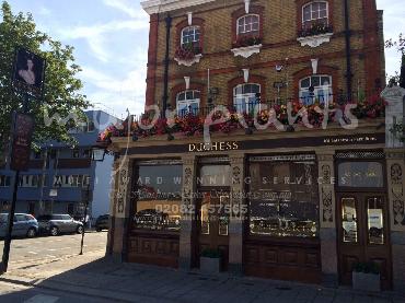 Major Plants Ltd - Window Boxes - London - UK - Image 19